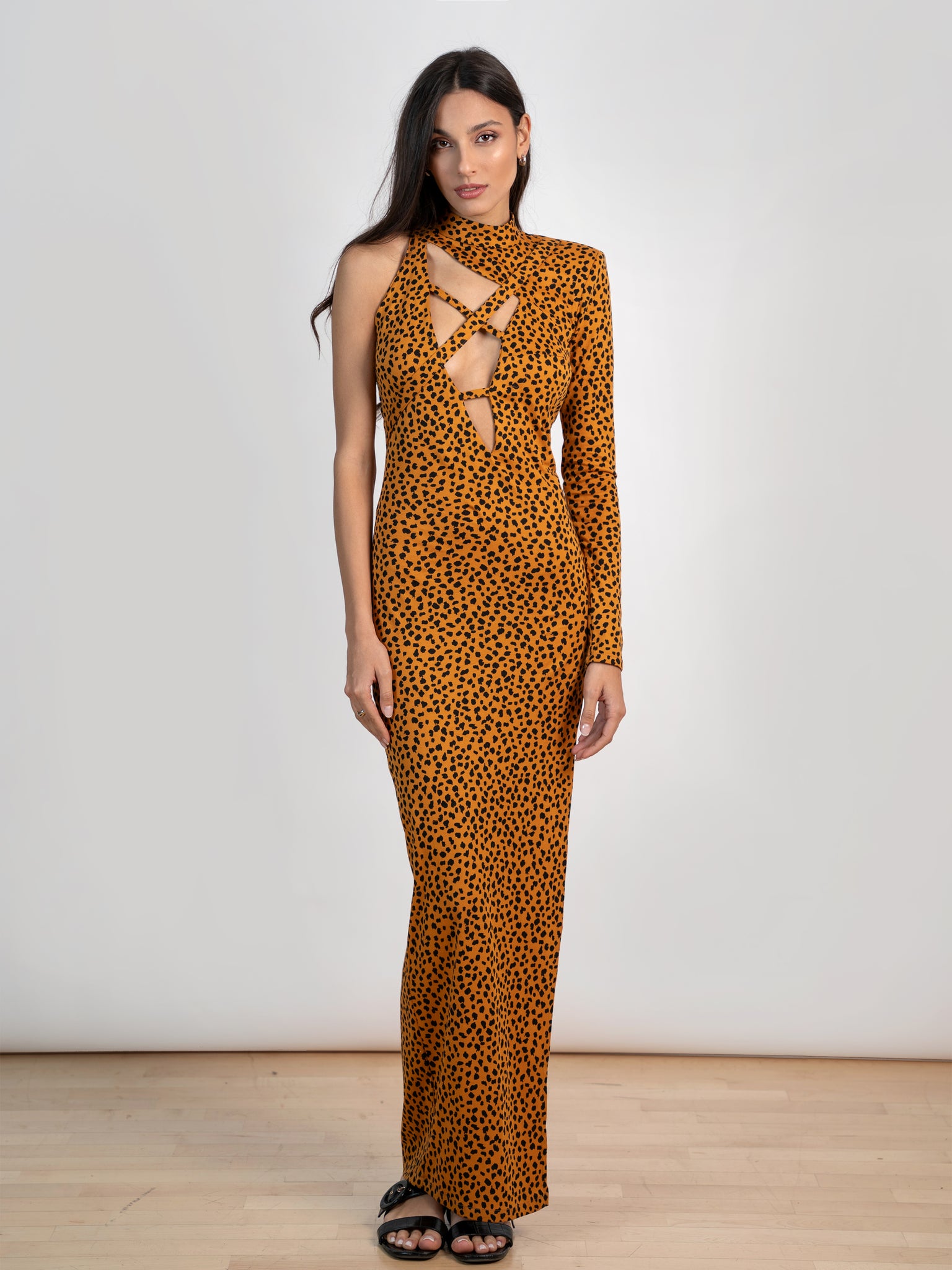 Brown Animal Print Long Dress